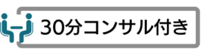 30分コンサル付き