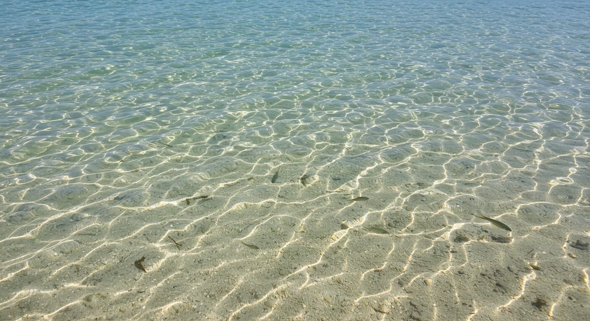 ランカ ウイ 島 海 汚い