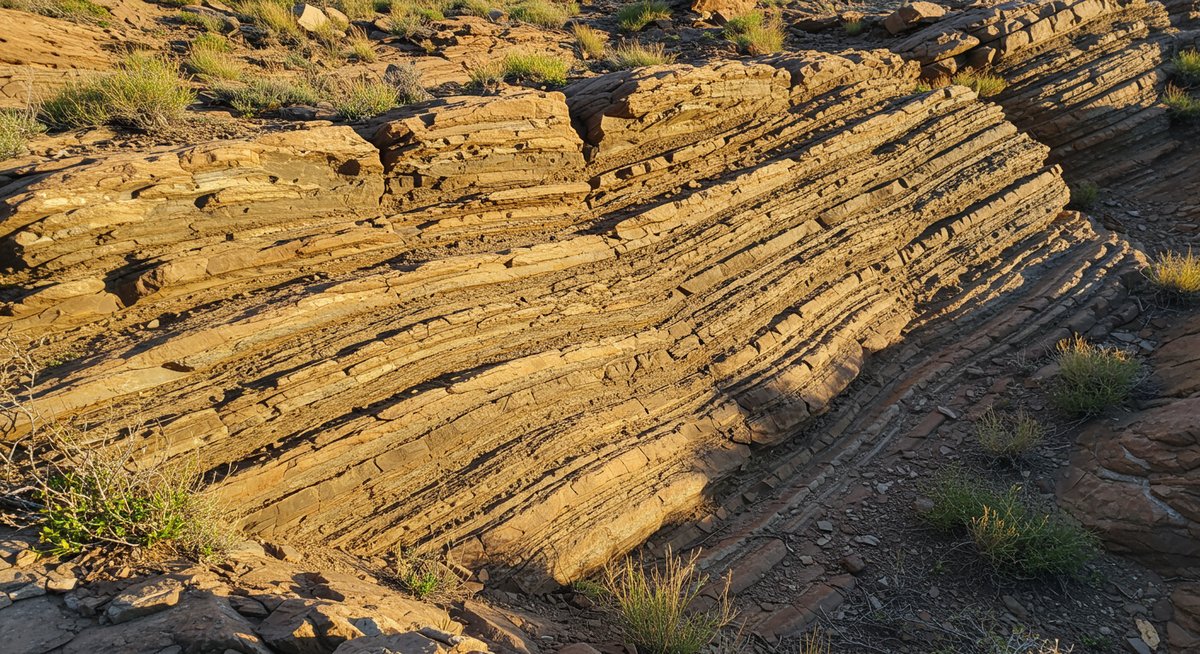 フレデフォート・ドーム